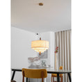 Load image into Gallery viewer, Pebble Pendant Lamp
