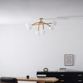 Bild in Galerie-Betrachter laden, Perry Ceiling Lamp