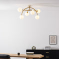 Bild in Galerie-Betrachter laden, Perry Ceiling Lamp