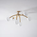 Bild in Galerie-Betrachter laden, Perry Ceiling Lamp