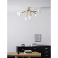 Bild in Galerie-Betrachter laden, Perry Ceiling Lamp