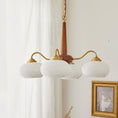 Load image into Gallery viewer, Persimmon Chandelier