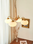 Load image into Gallery viewer, Persimmon Chandelier