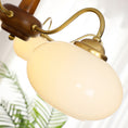 Load image into Gallery viewer, Persimmon Chandelier