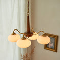 Load image into Gallery viewer, Persimmon Chandelier
