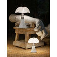Load image into Gallery viewer, Pipistrello Table Lamp