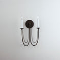 Load image into Gallery viewer, Plumette Wall Lamp
