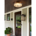Load image into Gallery viewer, Retro Flush Ceiling Lamp