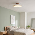 Bild in Galerie-Betrachter laden, Zayn Ceiling Lamp