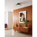 Bild in Galerie-Betrachter laden, Zayn Ceiling Lamp