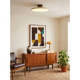 Bild in Galerie-Betrachter laden, Zayn Ceiling Lamp
