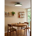 Bild in Galerie-Betrachter laden, Zayn Ceiling Lamp