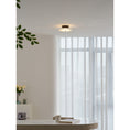 Load image into Gallery viewer, Ankeny Alabaster Ceiling Lamp