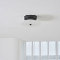 Load image into Gallery viewer, Ankeny Alabaster Ceiling Lamp