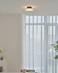 Load image into Gallery viewer, Ankeny Alabaster Ceiling Lamp