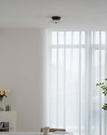 Load image into Gallery viewer, Ankeny Alabaster Ceiling Lamp