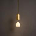 Load image into Gallery viewer, Aurevian Pendant Lamp