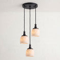 Load image into Gallery viewer, Chart Alabaster Cluster Chandelier