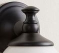 Bild in Galerie-Betrachter laden, Chart Glass Plug-in Wall Sconce