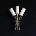 Bild in Galerie-Betrachter laden, Chelsea Wall Sconces