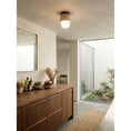 Load image into Gallery viewer, Davise Flush Mount