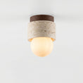 Load image into Gallery viewer, Davise Flush Mount