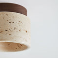 Load image into Gallery viewer, Davise Flush Mount