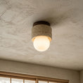 Load image into Gallery viewer, Davise Flush Mount