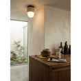 Load image into Gallery viewer, Davise Flush Mount