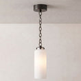 Load image into Gallery viewer, Katie Glass Pendant Lamp
