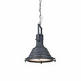 Load image into Gallery viewer, Keldran Pendant Lamp