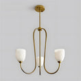 Load image into Gallery viewer, Mild Velin Chandelier