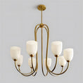 Load image into Gallery viewer, Mild Velin Chandelier