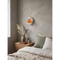 Bild in Galerie-Betrachter laden, Orli Spain Alabaster Wall Sconce