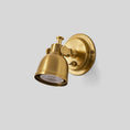 Bild in Galerie-Betrachter laden, Orwell Wall Sconce