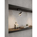 Load image into Gallery viewer, VidaLite Track Light
