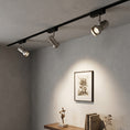 Load image into Gallery viewer, VidaLite Track Light