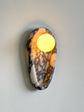 Bild in Galerie-Betrachter laden, Nidus Marble Wall Sconce