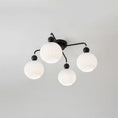 Load image into Gallery viewer, Renee Ceiling Lamp