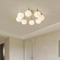 Load image into Gallery viewer, Renee Ceiling Lamp