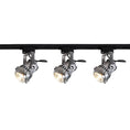 Load image into Gallery viewer, Retro Industrial Aluminum Track Lights