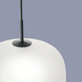 Load image into Gallery viewer, Rime Pendant Lamp