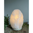 Bild in Galerie-Betrachter laden, Salt Stone Table Lamp