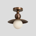 Load image into Gallery viewer, Sasco Ceiling Lamp