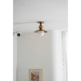 Bild in Galerie-Betrachter laden, Sasco Ceiling Lamp