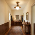Bild in Galerie-Betrachter laden, Sasco Ceiling Lamp