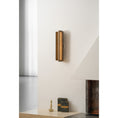 Load image into Gallery viewer, Scorpio Wall Lamp