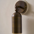 Bild in Galerie-Betrachter laden, Selene Alabaster Wall Lamp