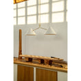 Load image into Gallery viewer, Slide 2 Arm Pendant Lamp