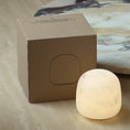 Load image into Gallery viewer, Free Gift Snowflake Alabaster Table Lamp (Built-in Battery)